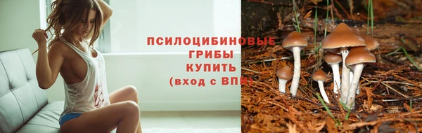 ешки Нефтекумск
