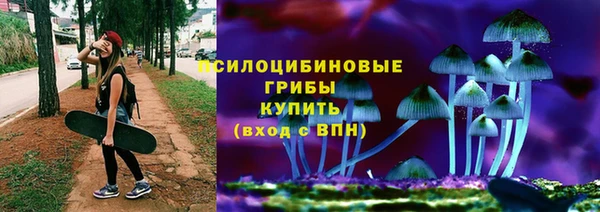 ешки Нефтекумск