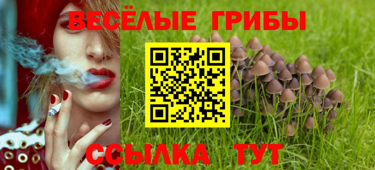 Галлюциногенные грибы мицелий  Вход с VPN  Ивантеевка  Галлюциногенные грибы прущие грибы 