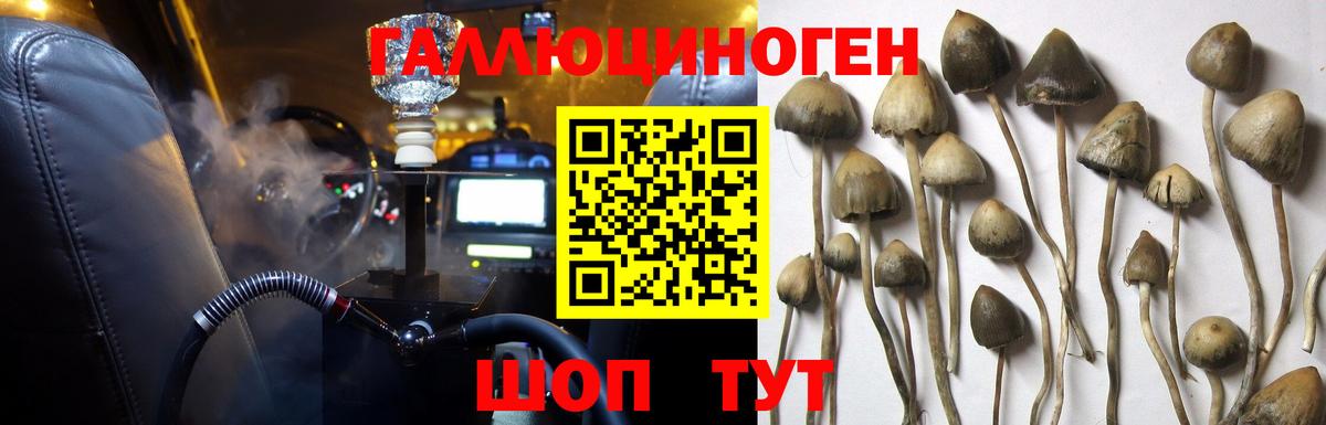 Псилоцибиновые грибы Psilocybine cubensis  Вход с VPN  Ивантеевка 